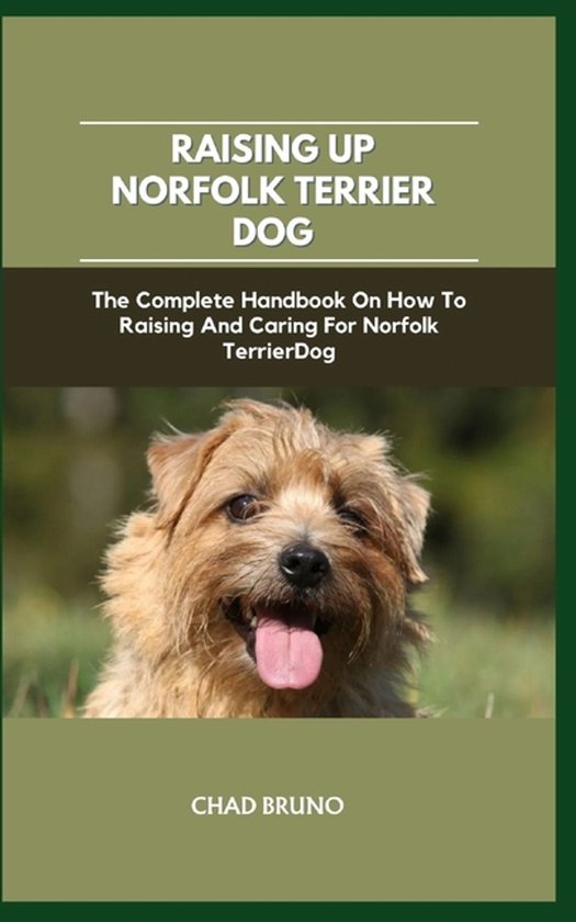 Norfolk Terrier Dog