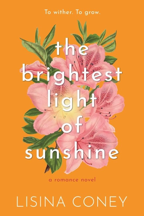 Brightest Light- Brightest Light of Sunshine - cover