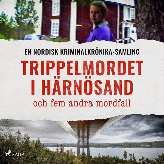 Trippelmordet i Härnösand och fem andra mordfall - cover