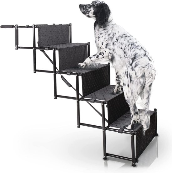 Escalier Pour Chien Occasion