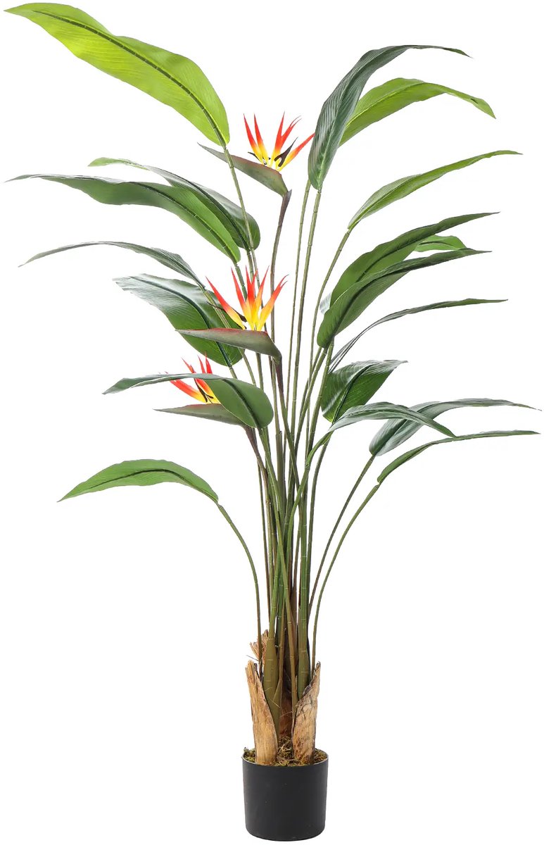 Kunstpalm Kunst Paradijsvogelplant | 170 cm – Luxe Tropische Kunstplant - Kunst Strelitzia - Nep Strelitzia met bloemen Donkergroen