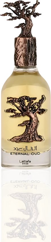 Lattafa External Oud 100 ml - Eau de Parfum - 100ml