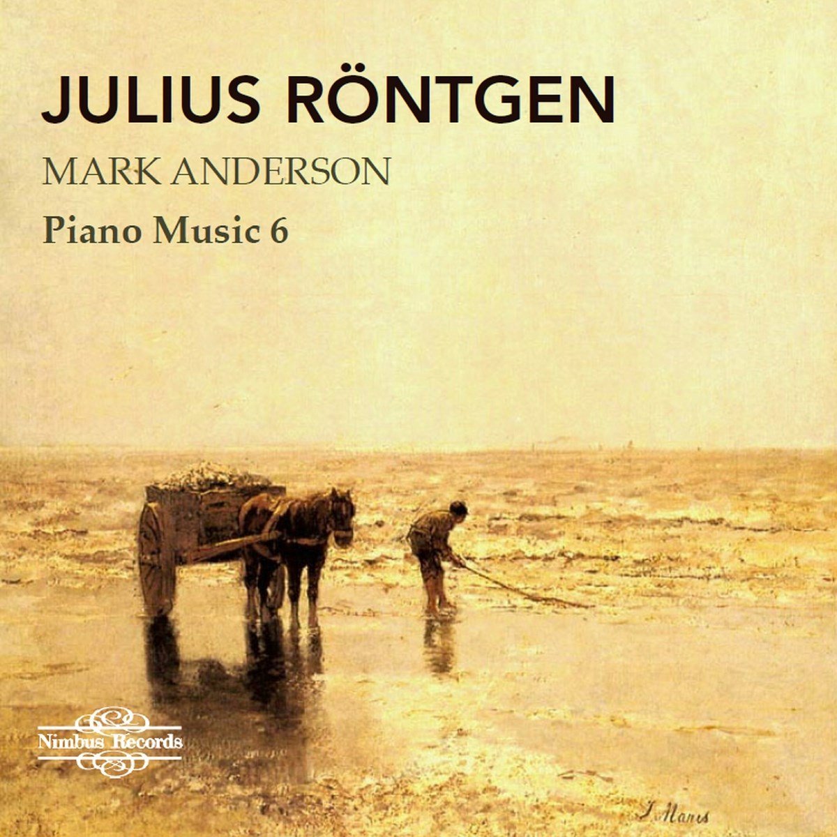 Mark Anderson - Röntgen: Piano Music Vol.6 (CD)