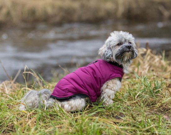 Trixie - Hondenjas Arlay - Waterafstotend - Kleur: Bessen Rood - Ruglengte: 21 cm