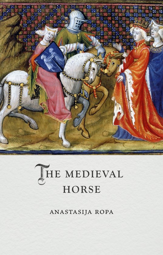 Boekcover met een middeleeuwse illustratie van een ruiter op een wit paard, met omstanders in rode en blauwe gewaden.