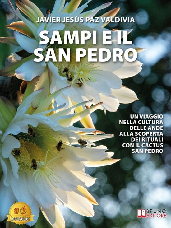 Sampi E Il San Pedro - cover