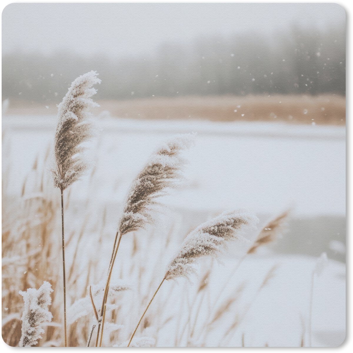 Muismat 20x20 cm - Mousepad Riet - Meer - Winter - Natuur - Sneeuw - Beige - Muismatten