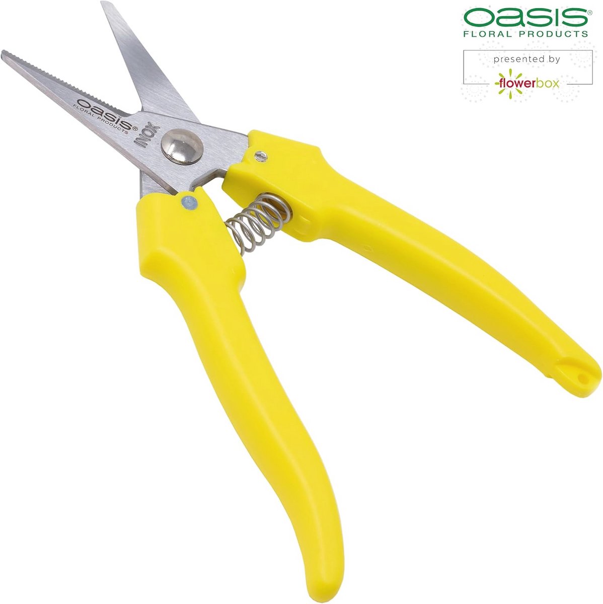 Professionele Bloemenschaar - 170 mm Snoeischaar voor Bloemen en Rozen