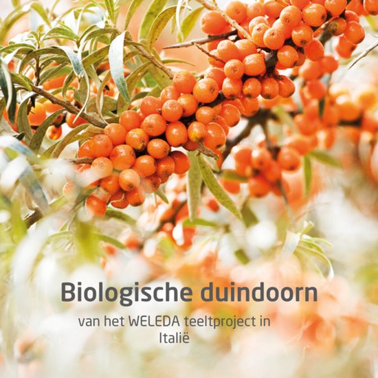 Close-up van biologische duindoornvruchten aan een tak met bladeren. "Biologische duindoorn" in grijze tekst.