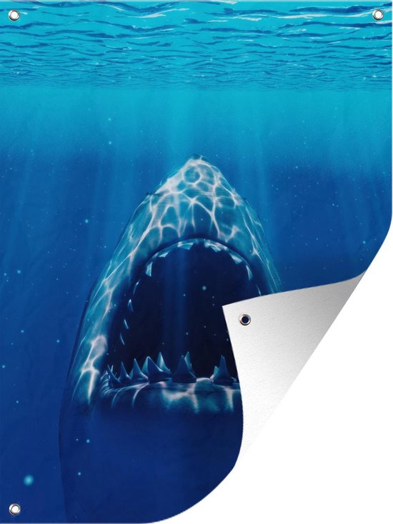 Le requin montre ses dents 30x40 cm - petit | bol.com
