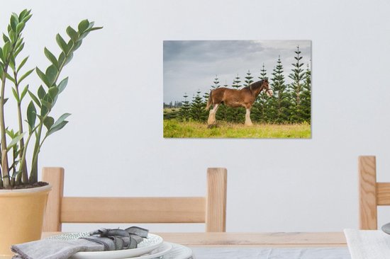 Canvas Schilderij Clydesdale - Gras - Paarden - 30x20 cm - Wanddecoratie - OneMillionCanvasses
