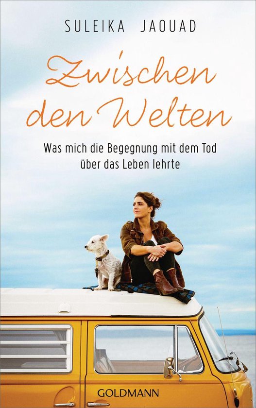 Zwischen den Welten - cover