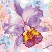 DDK5.050 Diamond Dotz® - Diamond painting volwassenen - Diamond painting met lijst - Bloemen - Glitterbloem - lila 30.50 x 30.50cm - Ronde steentjes - Volledig pakket