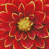 DDK5.037 Diamond Dotz® - Diamond painting volwassenen - Diamond painting met lijst - Bloemen - Dahlia 30.50 x 30.50cm - Ronde steentjes - Volledig pakket