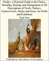 Poultry: A Practical Guide to the Choice, Breeding, Rearing and Management of All Descriptions of Fowls, Turkeys, Guinea-Fowls, Ducks and Geese, for Profit and Exhibition