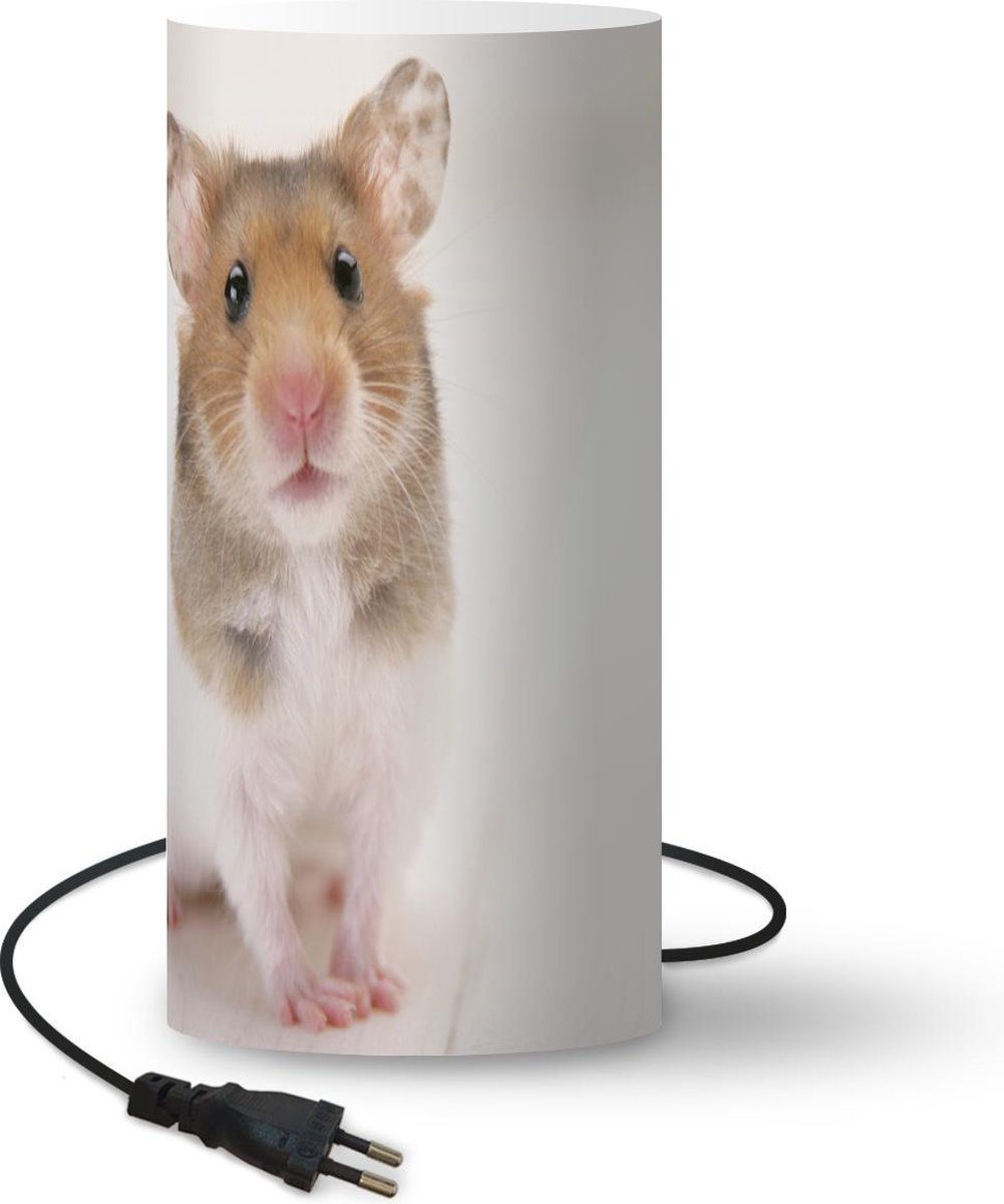 Lamp Hamsters Staande bruinwitte hamster 54 cm hoog
