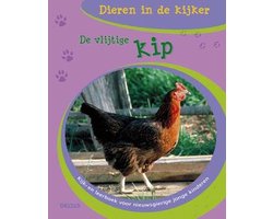 Dieren In De Kijker Vlijtige Kip