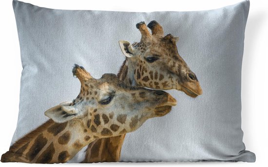 Oh jee Geslagen vrachtwagen sofa Sierkussens - Kussen - Giraffen die hun hoofden wrijven - 60x40 cm - Kussen  van katoen | bol.com