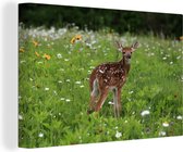 Cerf de Virginie dans un champ de fleurs luxuriantes 140x90 cm - Tirage photo sur toile (Décoration murale salon / chambre)
