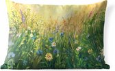 Coussins d'extérieur - Jardin - Pelouse peinte pleine de fleurs - 50x30 cm