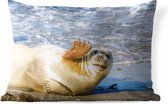 Buitenkussens - Tuin - Een grappig zeehond zwaait - 50x30 cm