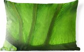 Buitenkussens - Tuin - Groot blad met nerven en aderen - 50x30 cm