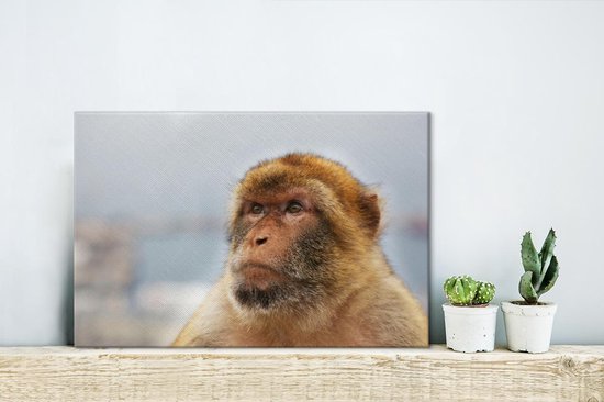 Portrait de Macaque de Barbarie sur toile 30x20 cm - petit - Tirage photo sur toile (Décoration murale salon / chambre) / Peintures sur toile Animaux