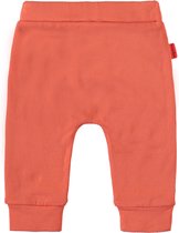 Bampidano newborn neutraal joggingbroek Daley Coral