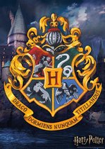 HARRY POTTER - Hogwarts - Puzzle 1000P