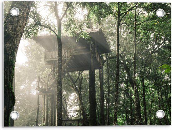 Poster Jardin – Cabane dans les arbres en forêt - Photo 40x30cm sur Poster Jardin (décoration murale pour l'extérieur et l'intérieur)