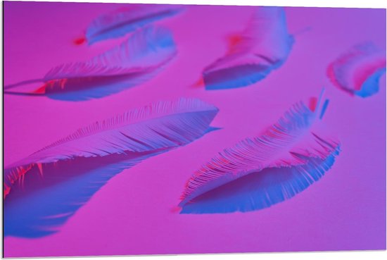 Dibond - Witte Veren in Roze Licht - 90x60cm Foto op Aluminium (Wanddecoratie van metaal)
