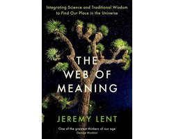 Omslag van The Web of Meaning