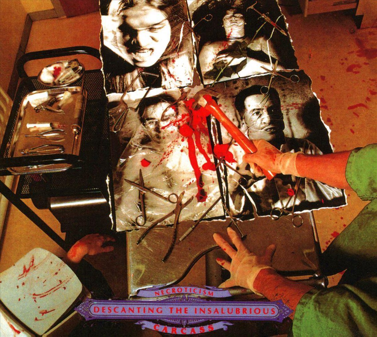 Necroticism - Descanting The Insalubrious