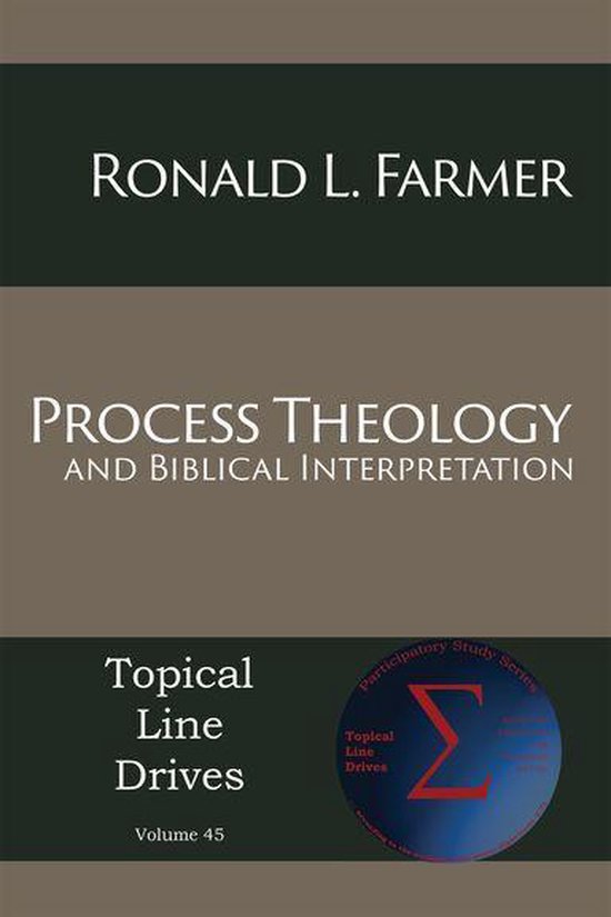 Process Theology and Biblical Interpretation - cover
