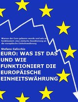 EURO: Was ist das und wie funktioniert die europäische Einheitswährung