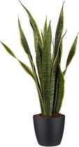 Kamerplant van Botanicly – Vrouwentongen incl. sierpot zwart als set – Hoogte: 65 cm – Sansevieria Laurentii