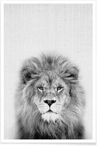 JUNIQE - Poster Leeuw zwart-wit foto -30x45 /Grijs & Wit