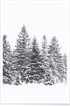 JUNIQE - Poster Zwarte winterbomen -20x30 /Wit & Zwart