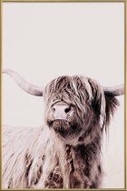 JUNIQE - Poster met kunststof lijst Highland Cattle Frida Crème -60x90
