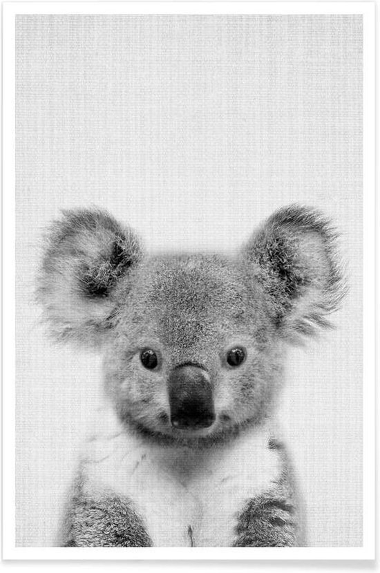 JUNIQE - Poster Koala zwart-wit foto -20x30 /Grijs & Wit