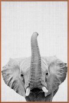 JUNIQE - Poster met kunststof lijst Olifant zwart-wit foto -40x60 /Wit