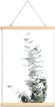 JUNIQE - Posterhanger Eucalyptus foto -60x90 /Groen & Wit