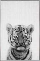 JUNIQE - Poster met kunststof lijst Tijger zwart-wit foto -20x30