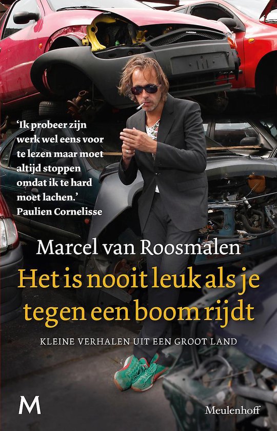 Het is nooit leuk als je tegen een boom rijdt - cover