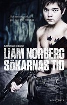 Sanningstrilogi 2 - Sökarnas tid : örnligan, nollpunkten, vägen ut