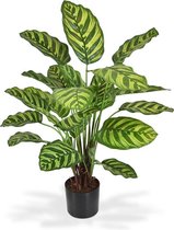 Calathea Makoyana kunstplant 60 cm