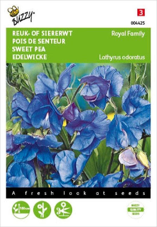 Reukerwt Royal Family blauw - Lathyrus odoratus