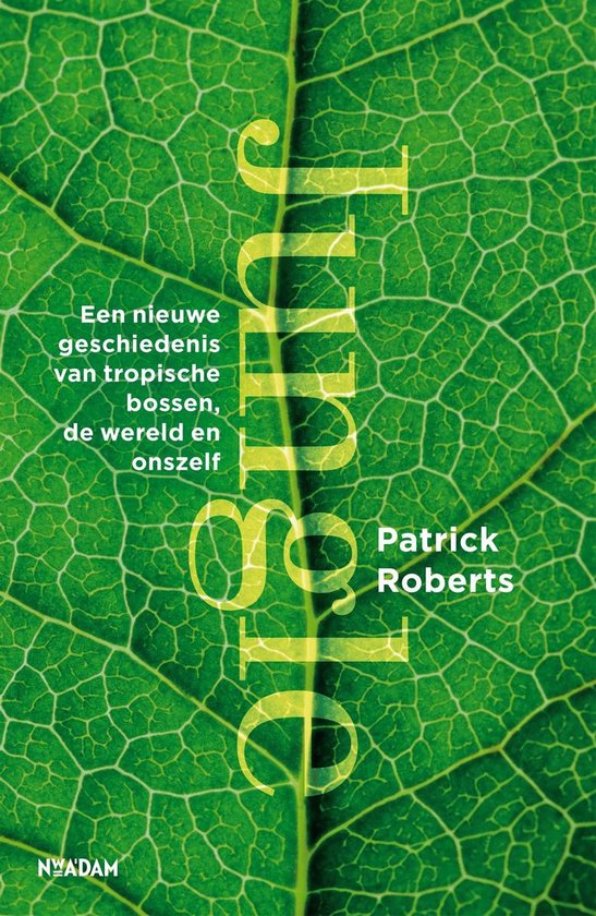 Jungle - cover