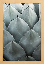 JUNIQE - Poster met houten lijst Agave foto -13x18 /Groen & Turkoois