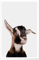 JUNIQE - Poster Goat -20x30 /Bruin & Wit